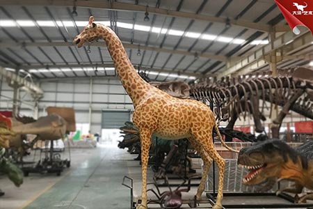 長頸鹿模型，仿真長頸鹿，動物模型展覽